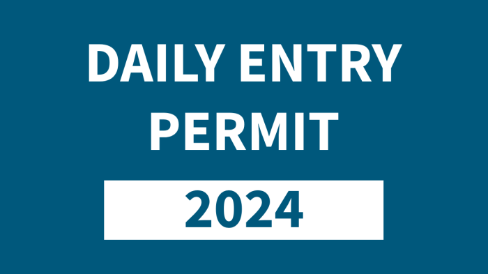 Entry Permit - Daily-DAILY2024